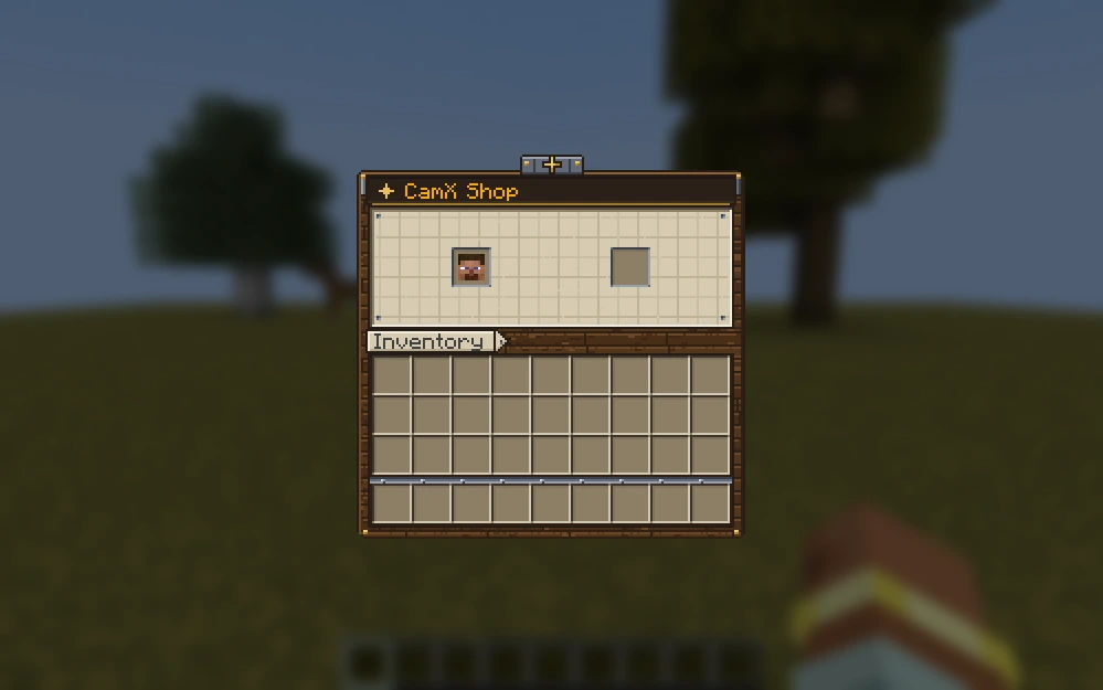 The CamX shop, textured