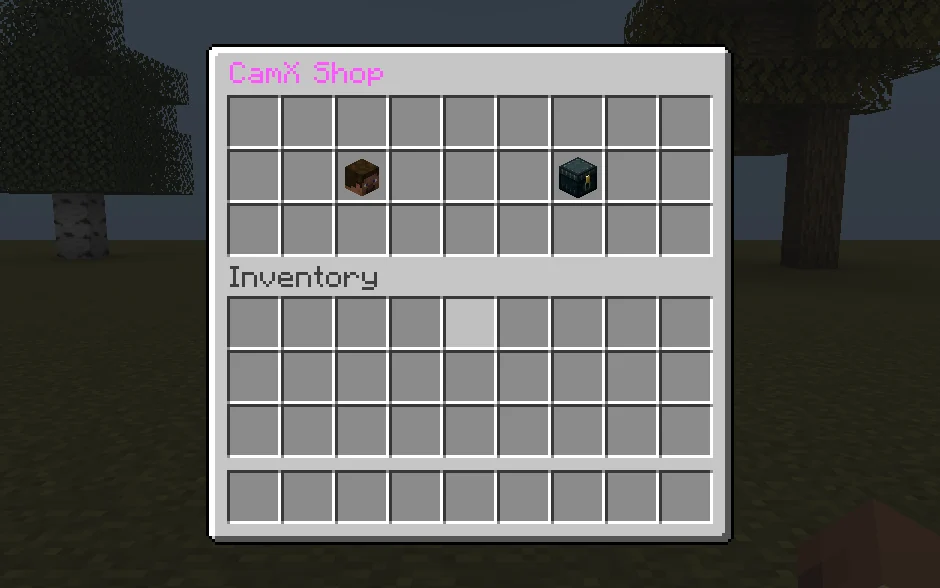 The CamX shop without the texture pack