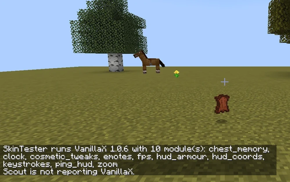/vanillax on a player running the VanillaX client